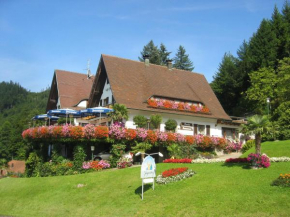 Гостиница Hotel Restaurant Jaegersteig, Бюль